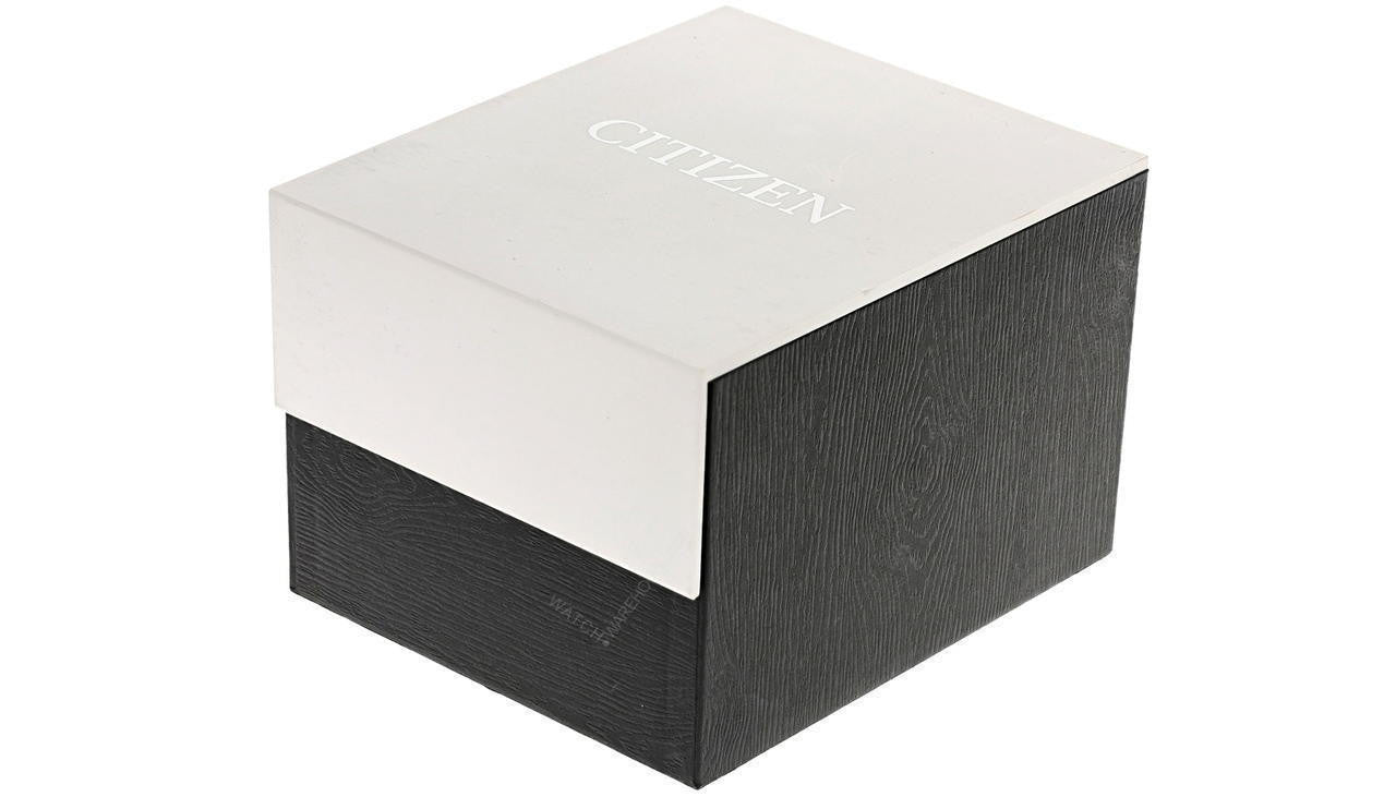 Citizen Black Dial Stainless Steel Women's Watch